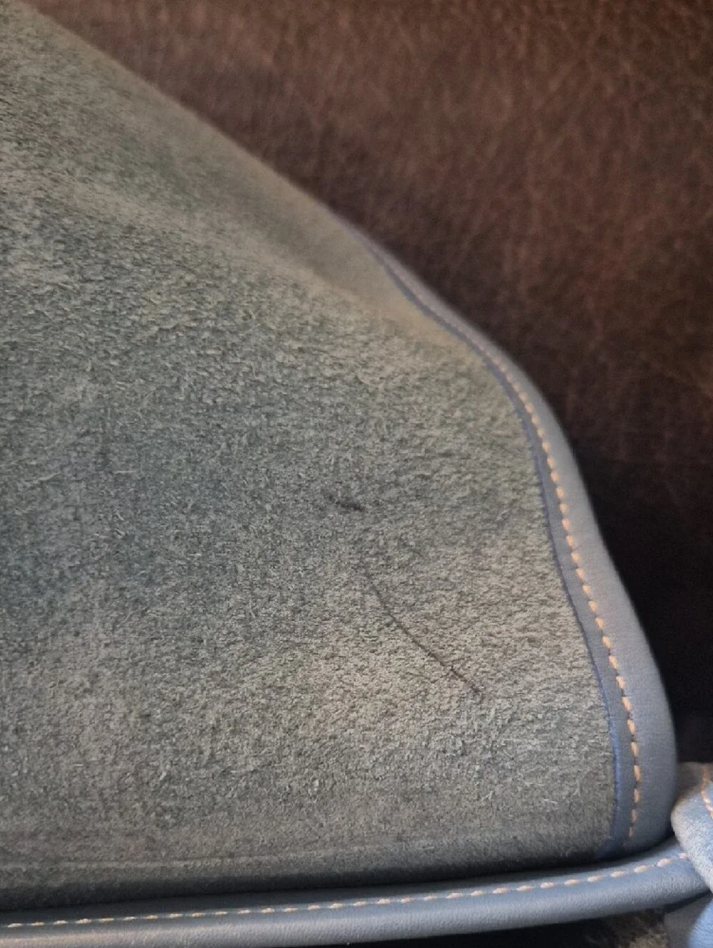 Coach vintage rambler